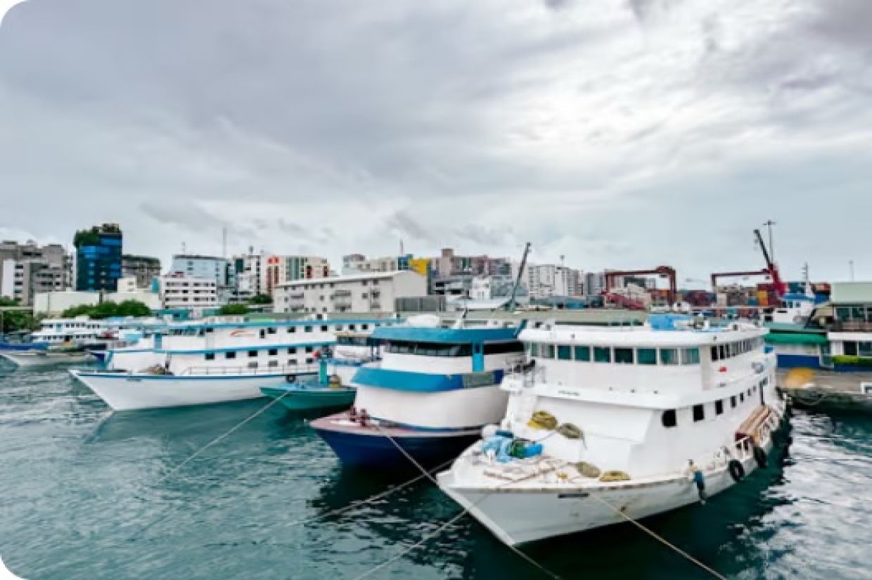 މާލެ ފަޅުގައި އޮތް އުޅަނދުތައް ނަގަން އަންގައިފި