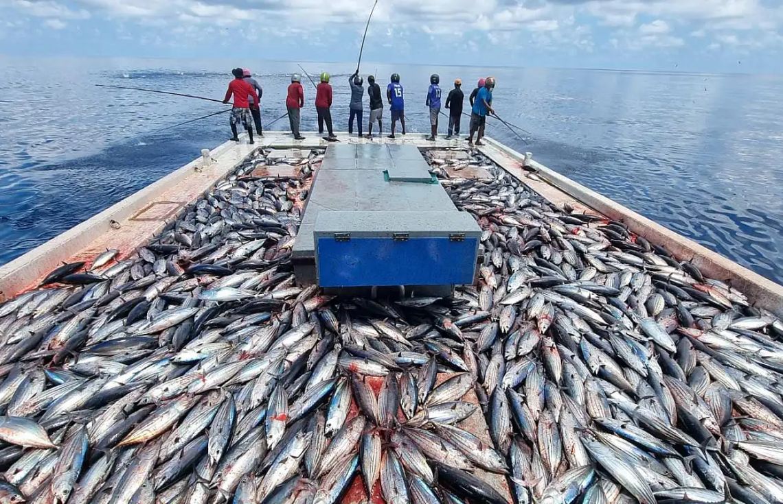 މިފްކޯއިން 452 ދޯންޏަކަށް 35.5 މިލިޔަން ދޫކޮށްފި