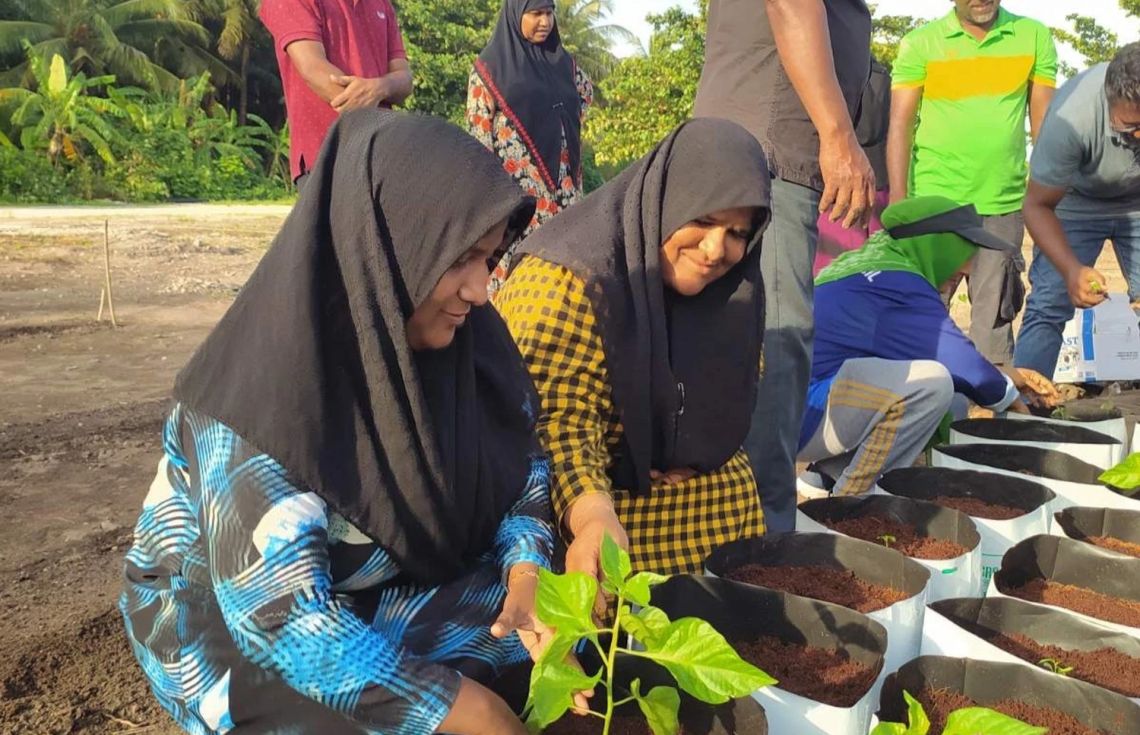 ދަނޑުވެރިކަމުގެ ތަމްރީން ޕްރޮގްރާމްތަކެއް އުތުރުގެ 26 ރަށެއްގައި