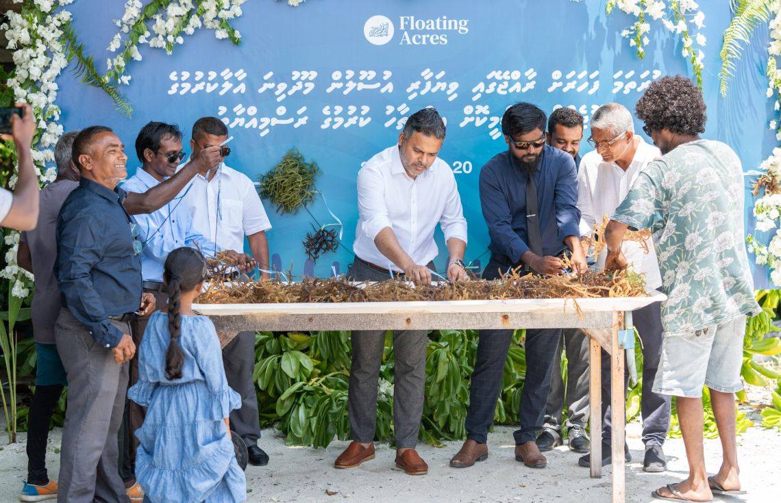 ވިޔަފާރި އުސޫލުން މޫދުވިނަ އާލާކުރަން ފަށައިފި