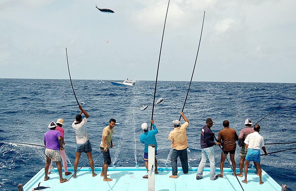 މަސްވެރިންގެ ދުވަސް ފާހަގަކުރަން ފުރުސަތު ހުޅުވާލައިފި