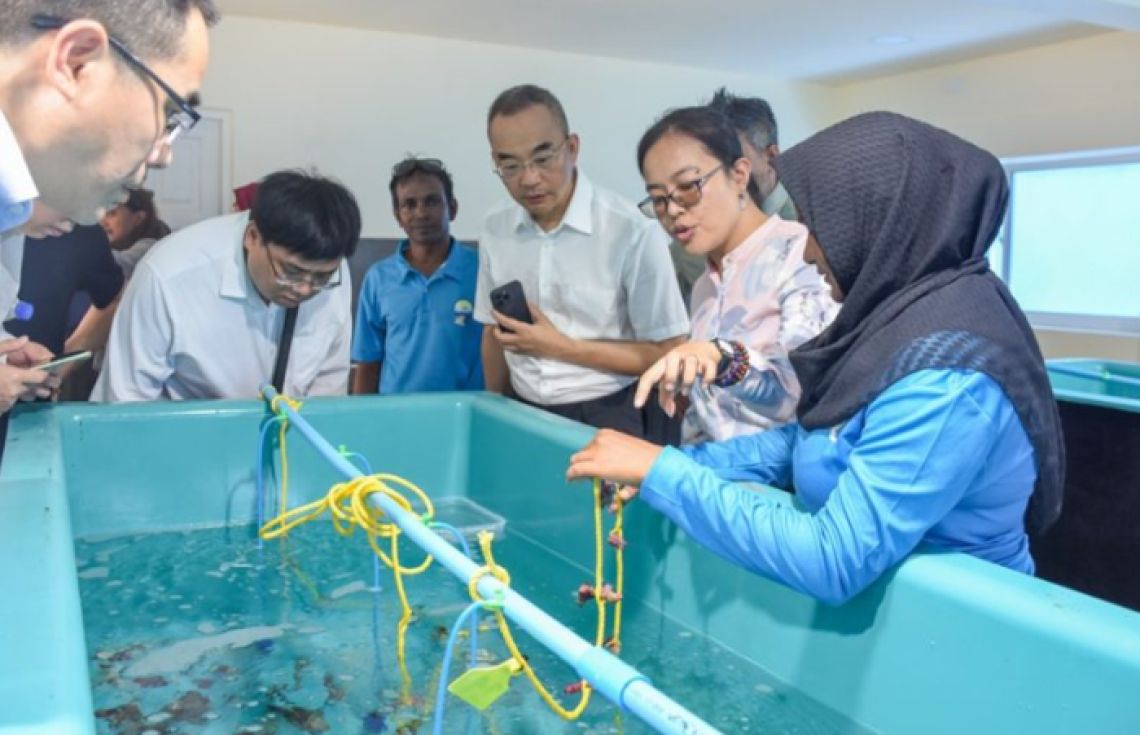 މެރިކަލްޗާއަށް ހާއްސަ ފަސްޒޯން، ދެން ފެންނާނީ ކުރިއަރާތަން!