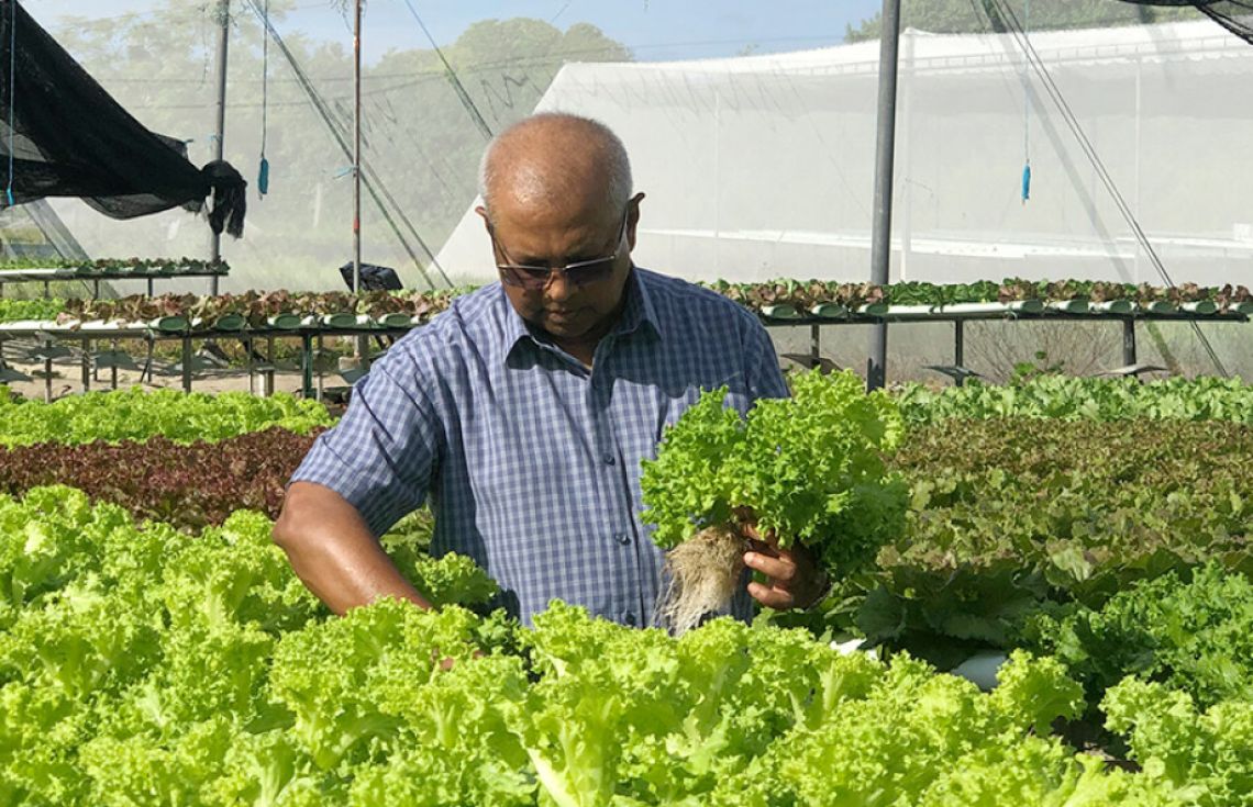ދަނޑުވެރިވެރިންނަށް މާލީ އެހީތެރިކަން ހޯދުމުގެ ފުރުސަތު ހުޅުވާލައިފި