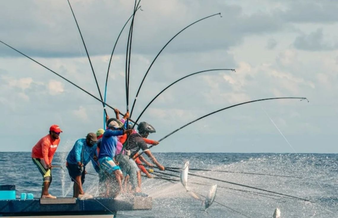 މަސްވެރިކަމުގައި ޒުވާނުންގެ ބައޮިވެރިވުން އިތުރުކުރުމަށް މަސައްކަތް ކުރަނީ