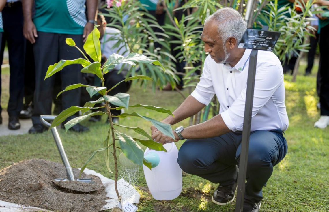 ދިވެހި ބިންތަކުން މުޑުވައްކުރެވޭނެކަން ކާބަފައިން ވަނީ ސާބިތުކޮށްދީފައި!