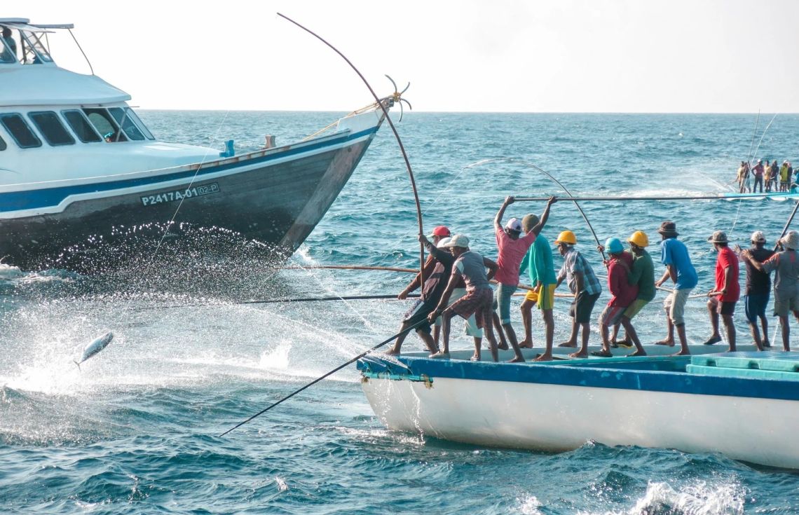 މަސްވެރިކަން ކުރިއަރުވަން ހާއްސަ ޕްރޮގްރާމެއް ފަށައިފި