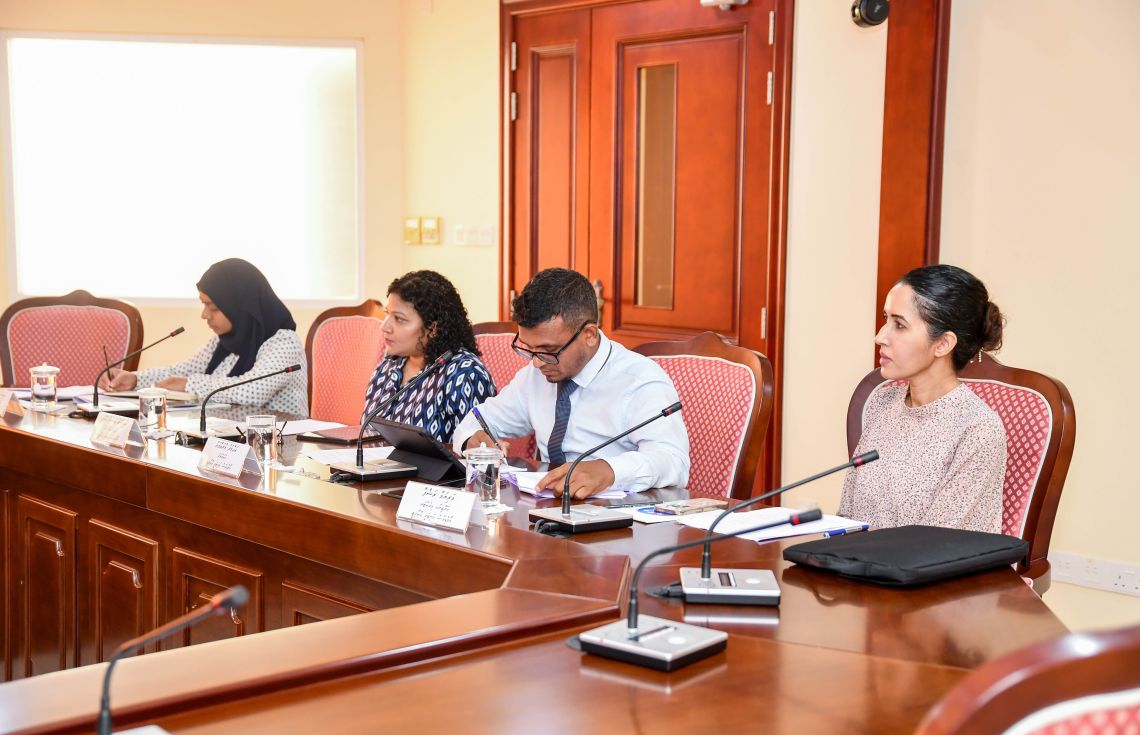 ބަޖެޓް ފައިނޭންސްކުރަން އެސްޑީއެފް ބޭނުން ނުކުރަން ލަފާދީފި