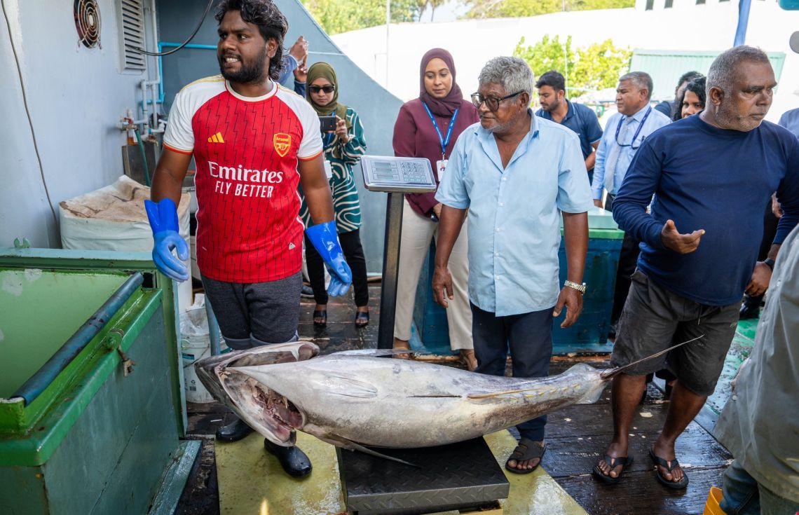 "މިފްކޯއަށް ކަންނެލި ގަންނަން ފެށުމަކީ ރަނގަޅު ފެށުމެއް"