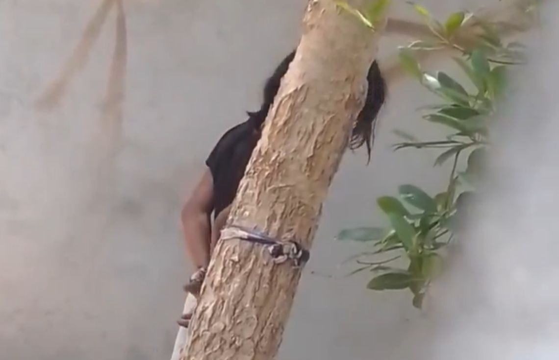 ކުޑަކުއްޖަކު ގަހެއްގައި ބަނދެ އަނިޔާކުރި މައްސަލައެއް ބަލަނީ