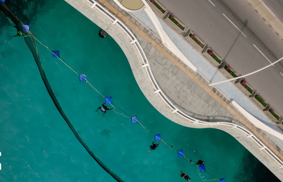 ޗެނަލަށް ޖަމާވާ ކުނީގެ މައްސަލަ ހައްލުކުރަން ފަށައިފި