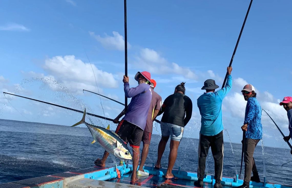 ޓެރިފް ކަނޑާލުމުން އެމް.އެސް.ޕީ.އީ.އޭ އިން މަރުހަބާ ކިޔައިފި