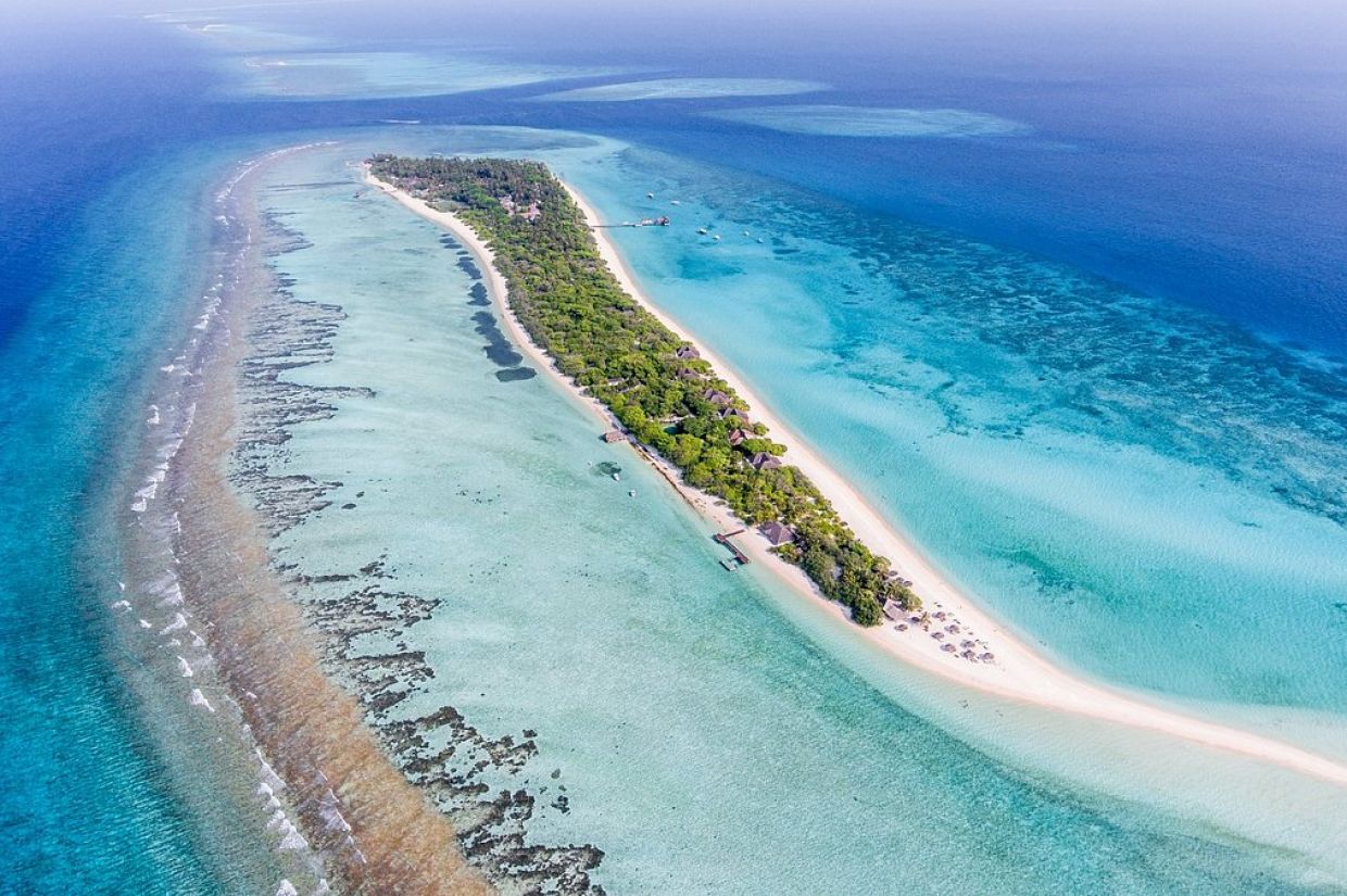 ޅ. އަތޮޅު ބަޔޮސްފިއާ ރިޒާވްއަކަށް