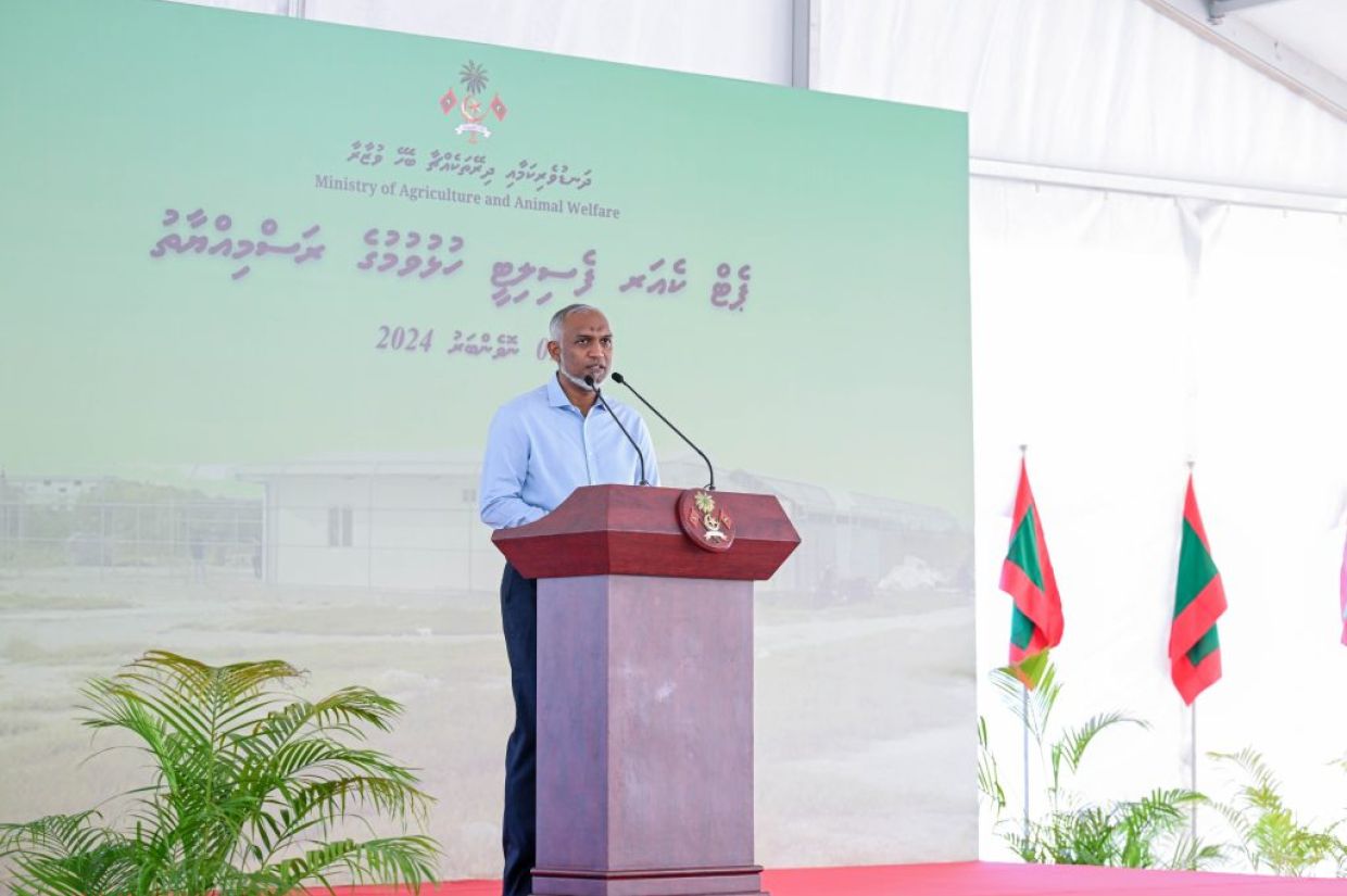 ކައުންސިލްތަކަށް އިތުރު ބާރުތަކެއް ދޭން ސަރުކާރުން ނިންމައިފި