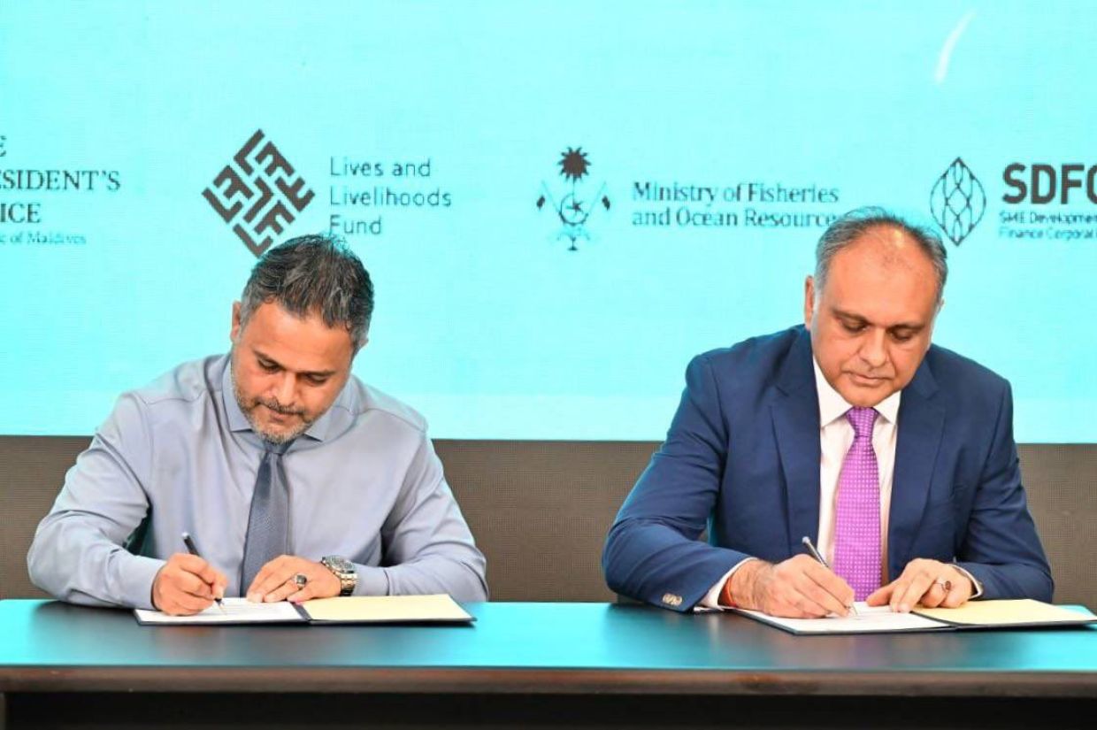 ކޫއްޑޫގައި 4000 ޓަނުގެ ކޯލްޑް ސްޓޯރޭޖެއް ޤާއިމްކުރަނީ