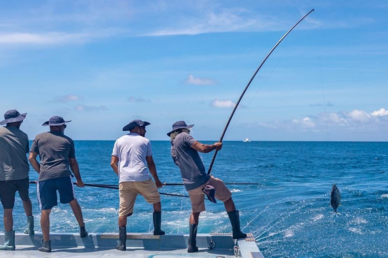 އަށްޑިހަ އިންސައްތަ އުޅަނދު މަސްވެރިންގެ ދަފްތަރުގައި ރަޖިސްޓްރީކޮށްފި