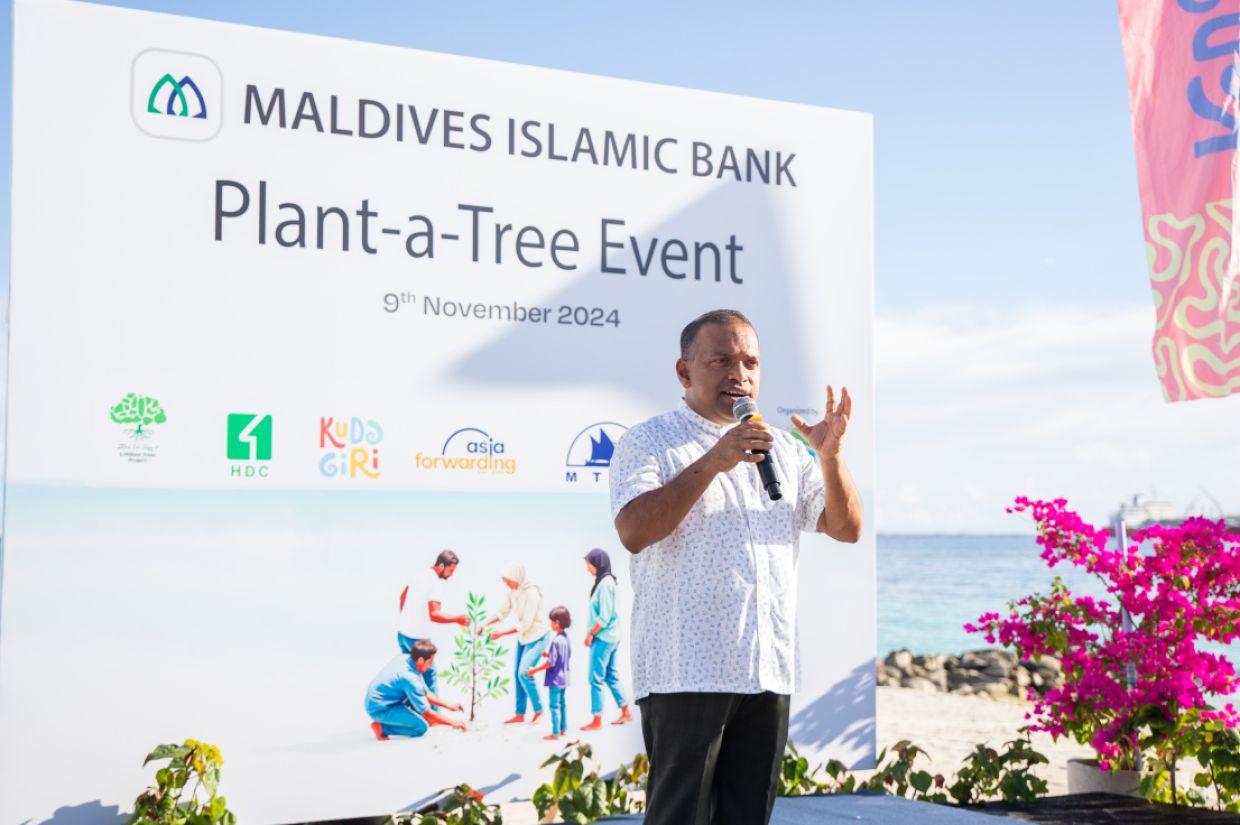 އެމްއައިބީން ކުޑަގިރީގައި 1000 ގަސް އިންދައިފި