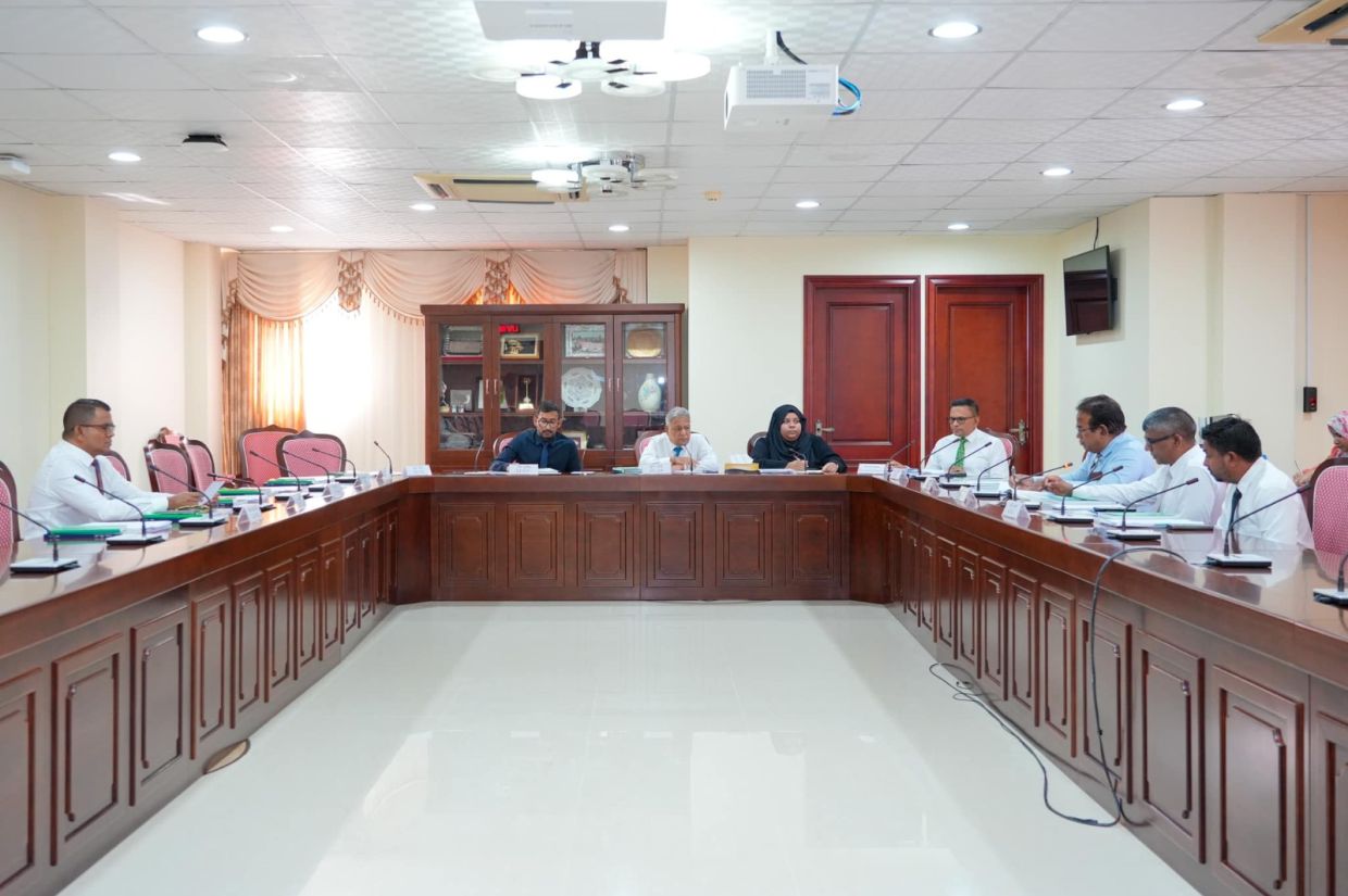 އިޒްރޭލު ޕާސްޕޯޓު މަނާކުރުމުގެ ބިލަށް ސުންގަޑި ދީފި