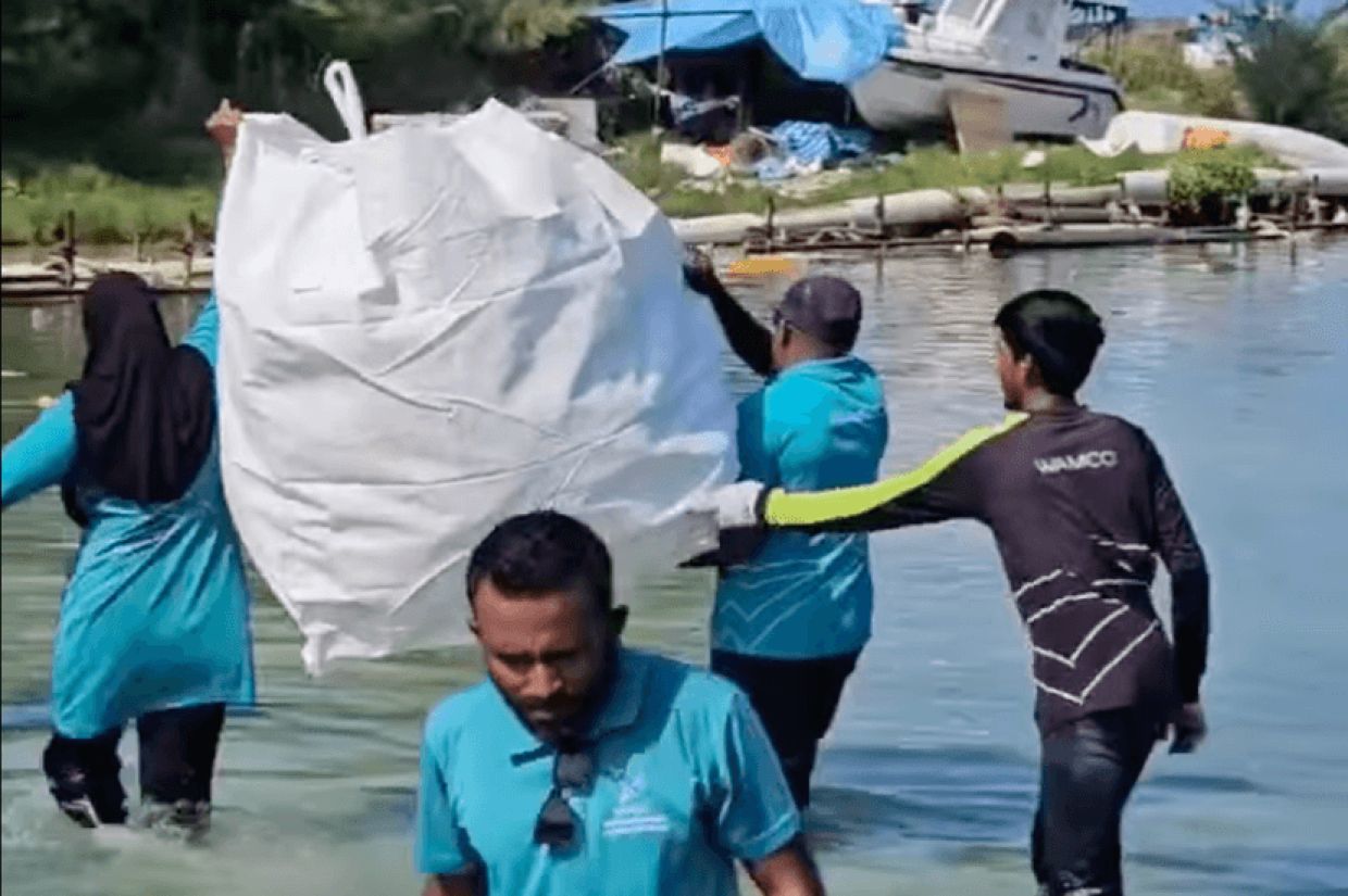 ވެމްކޯއިން ބީޗް ސާފުކުރުމުގެ ބޮޑު ހަރަކާތެއް ހިންގައިފި
