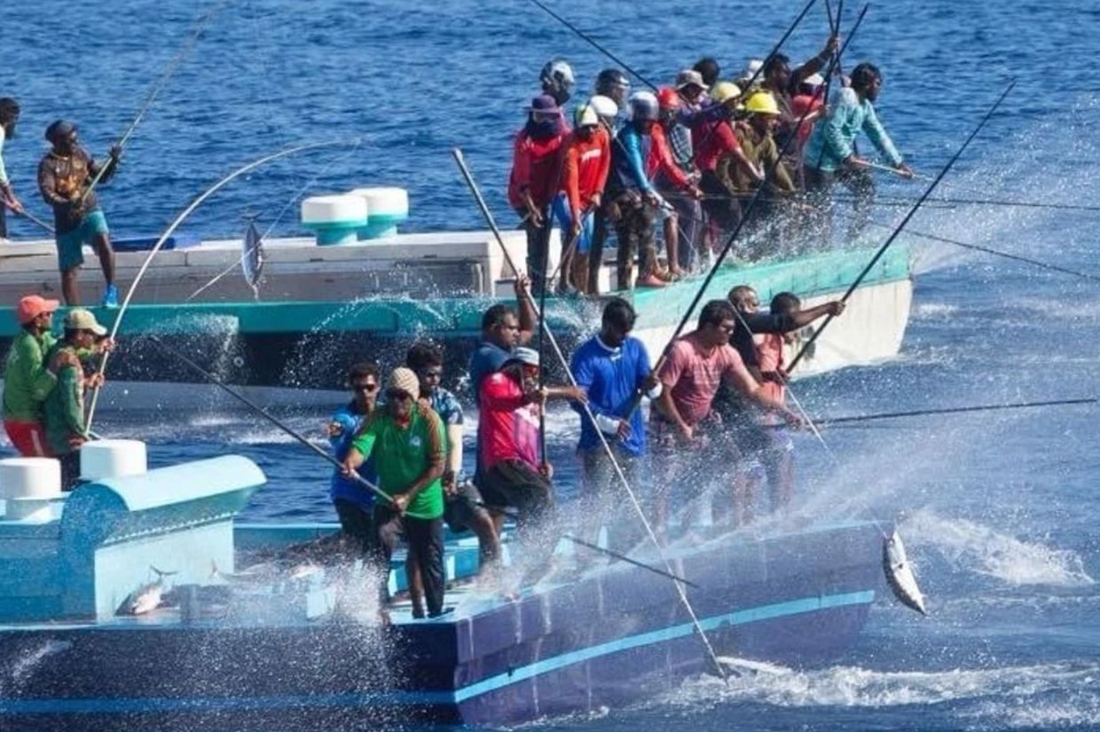 މަސްވެރިންގެ ދަފްތަރުގައި 2,260 މަސްވެރިން ރަޖިސްޓްރީކޮށްފި
