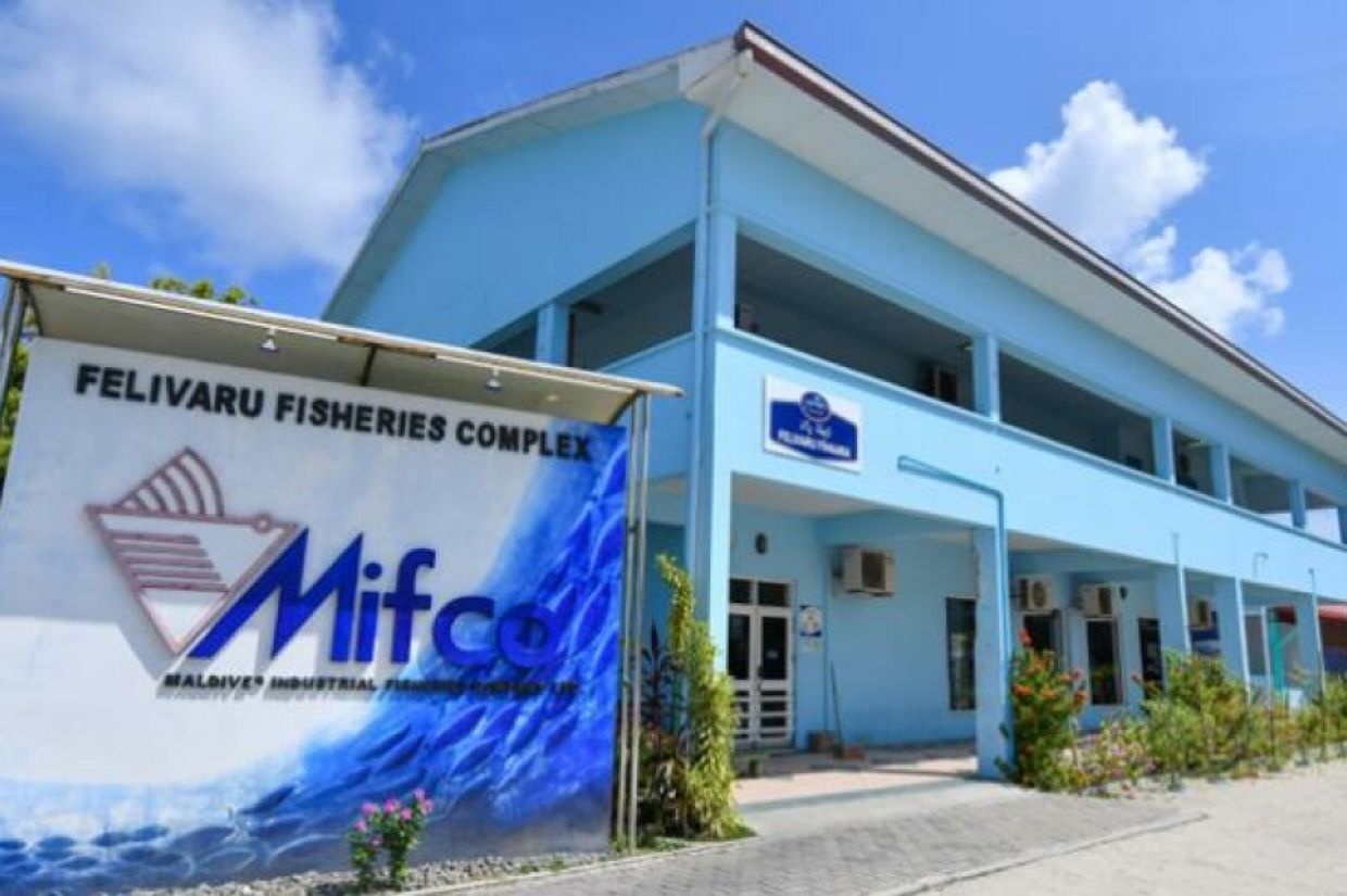 މިފްކޯގެ ސީއީއޯގެ މަޤާމަށް ޔޫކްރެއިންގެ ޑރ. ވިތާ