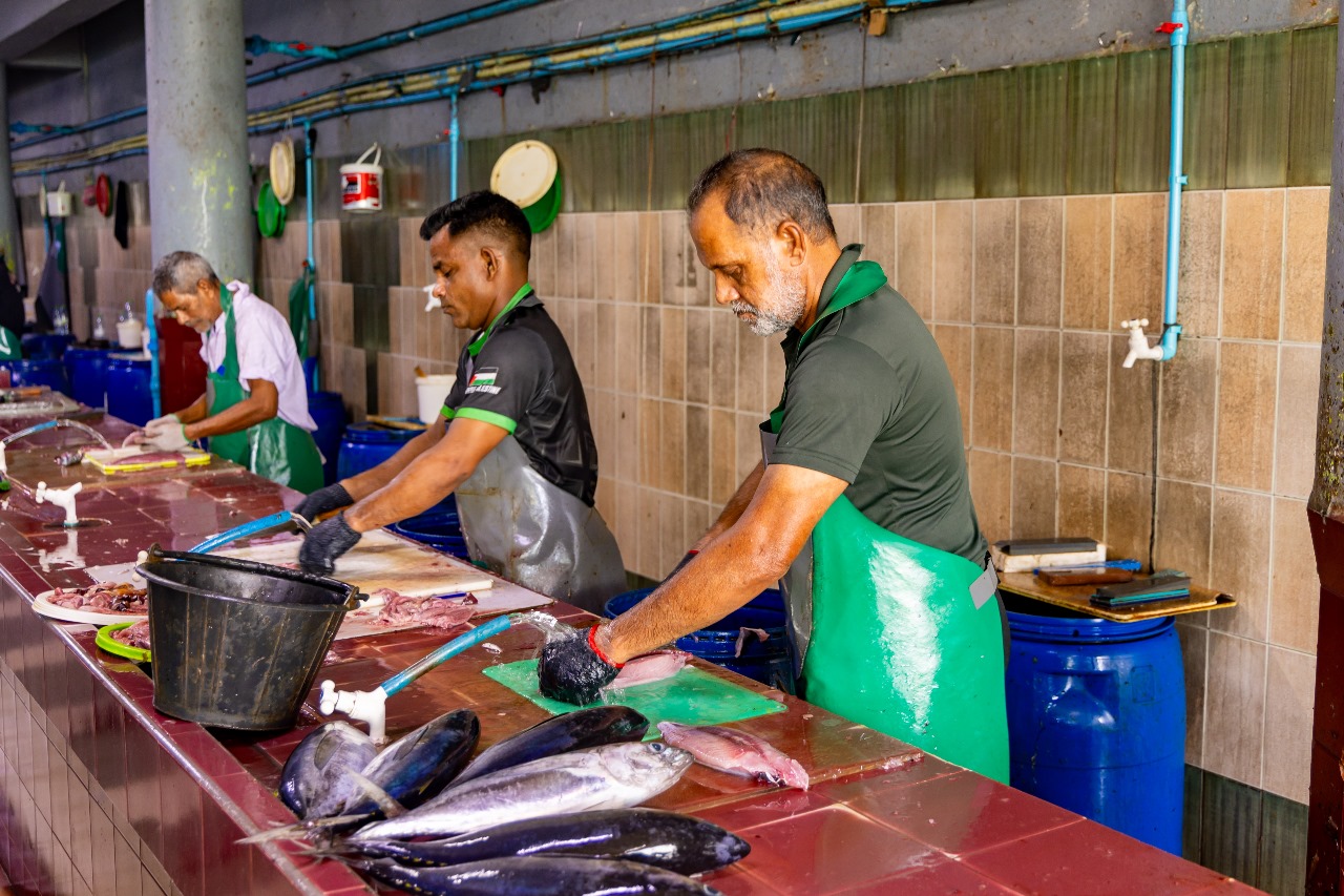 މަސްވެރިންގެ ދަފްތަރުގައި މިހާތަނަށް 200 އުޅަނދު ރަޖިސްޓްރީ ކޮށްފި