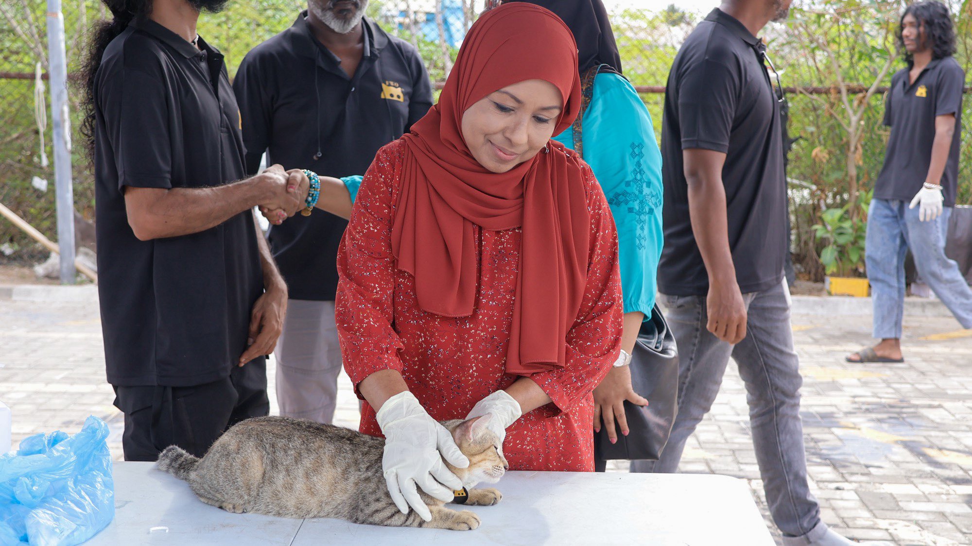ވަގުތީ ކެޓް ޝެލްޓަރގެ މަސައްކަތް ނިމި މިއަހަރު ހުޅުވޭނެ: ވަޒީރު ރަމީލާ