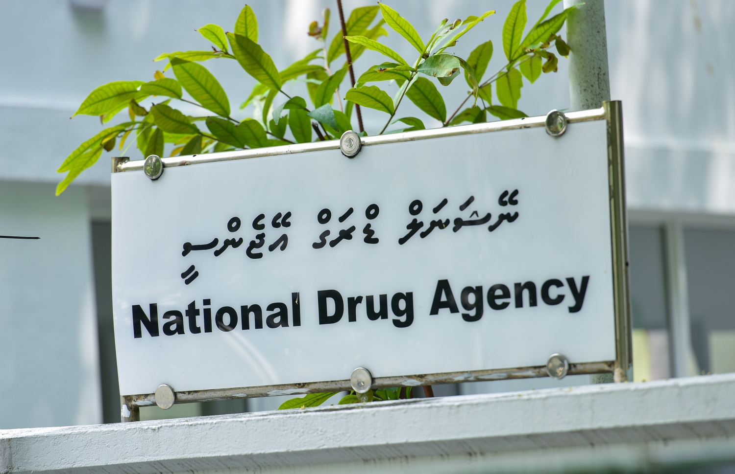 ރާއްޖޭގެ 3 ސަރަޙައްދެއްގައި ރިހެބިލިޓޭޝަން މަރުކަޒު ޤާއިމުކުރަން ފަށައިފި