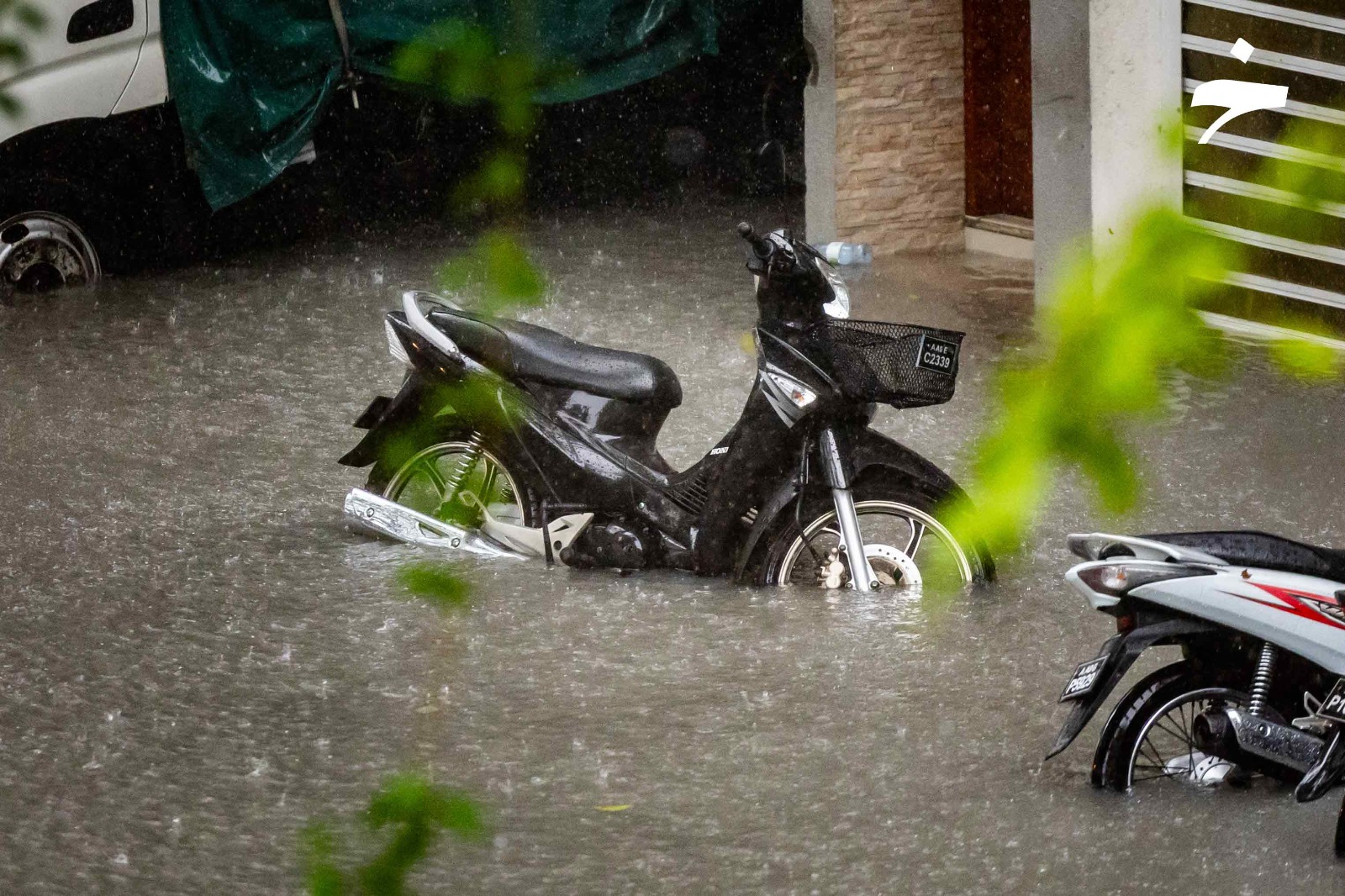 މޫސުން ރަނގަޅުވާން ފަށަނީ
